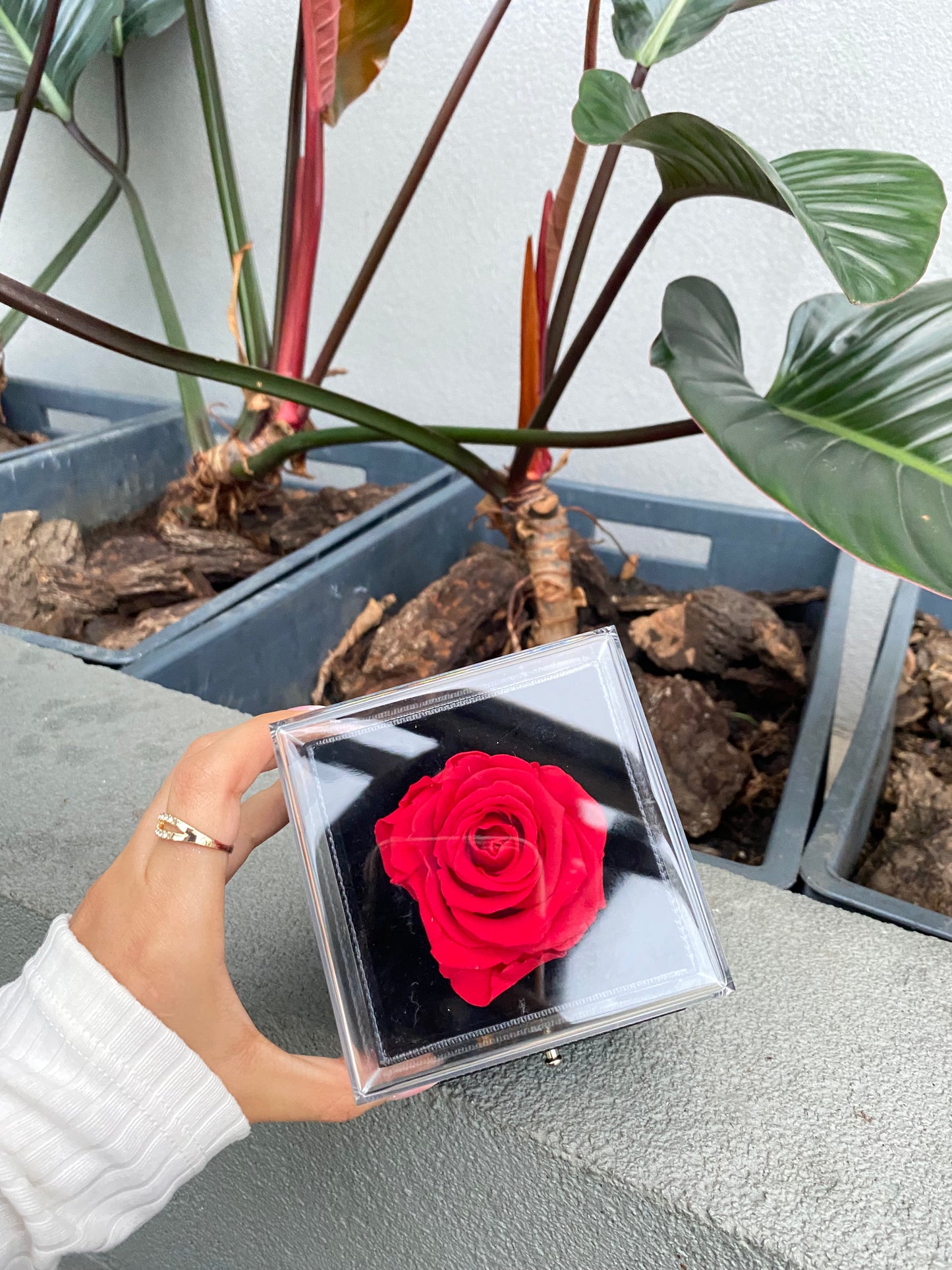 Joyero con rosa