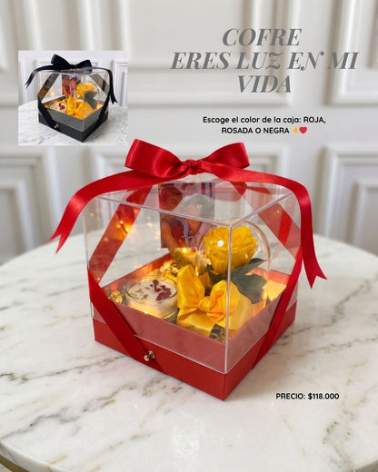 ✨💖 Eres Luz en Mi Vida - con Rosa Preservada