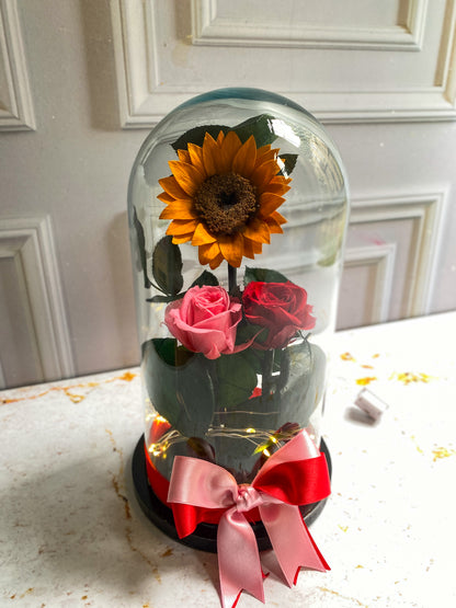 Raíces de Amor
