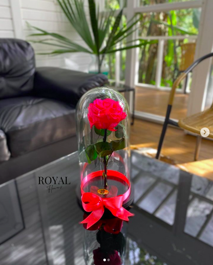 Rosa premium