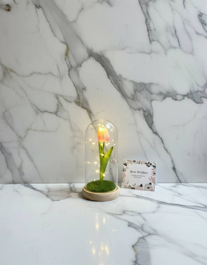 🌷 Tulipán de Luz ✨