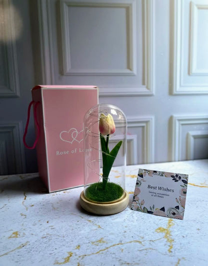 🌷 Tulipán de Luz ✨