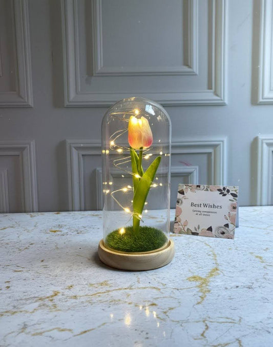 🌷 Tulipán de Luz ✨