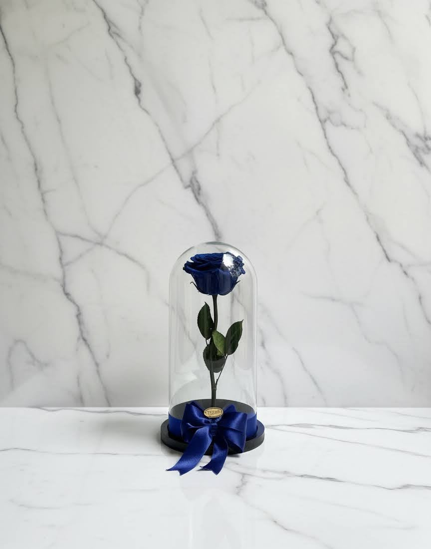 🌹✨ Rosa Preservada Tamaño Grande – Premium