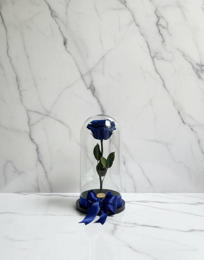 🌹✨ Rosa Tamaño Grande – Premium