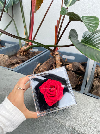 Joyero con rosa