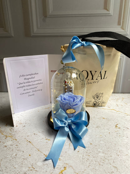 🙏🌹 Virgen María Rosa Mística en Urna 🌹🙏