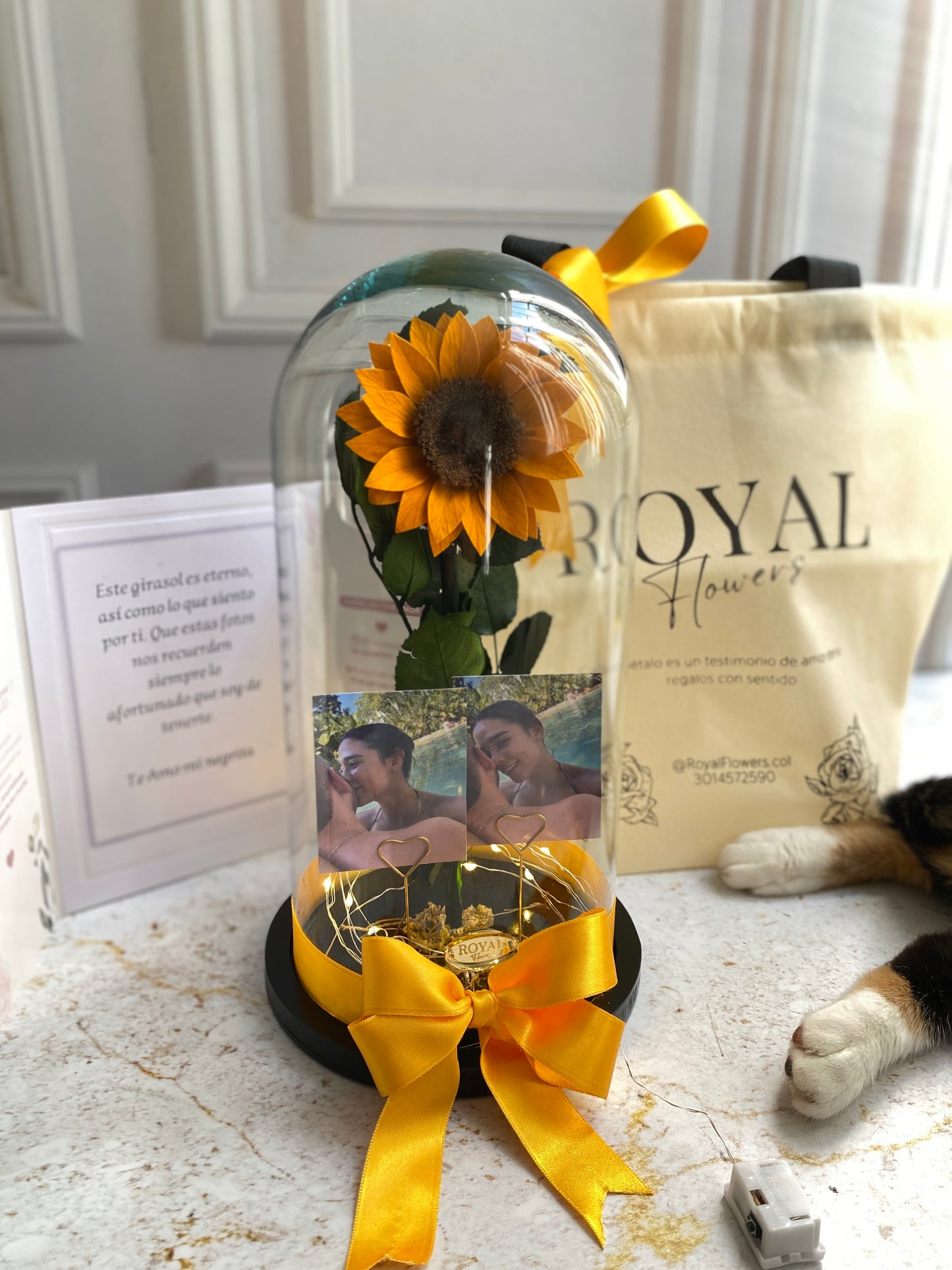 💛🌻 Girasol Preservado Mediano 🌻💛