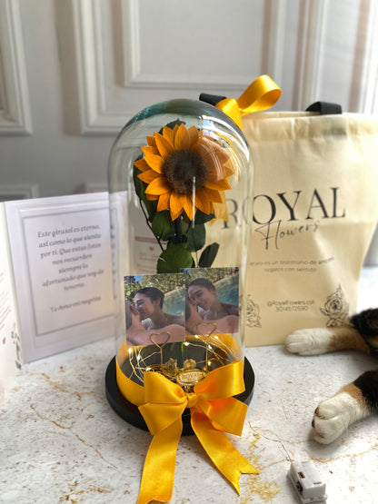💛🌻 Girasol Preservado Mediano 🌻💛