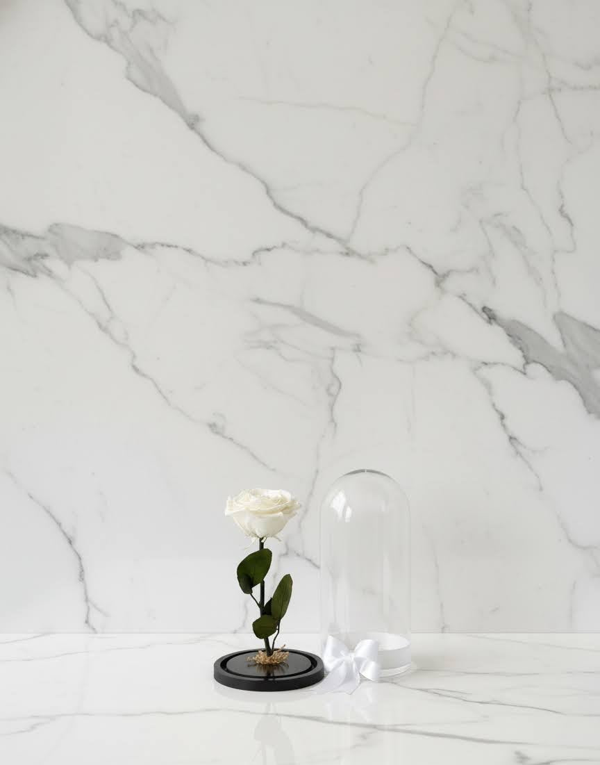 🌹✨ Rosa Tamaño Grande – Premium