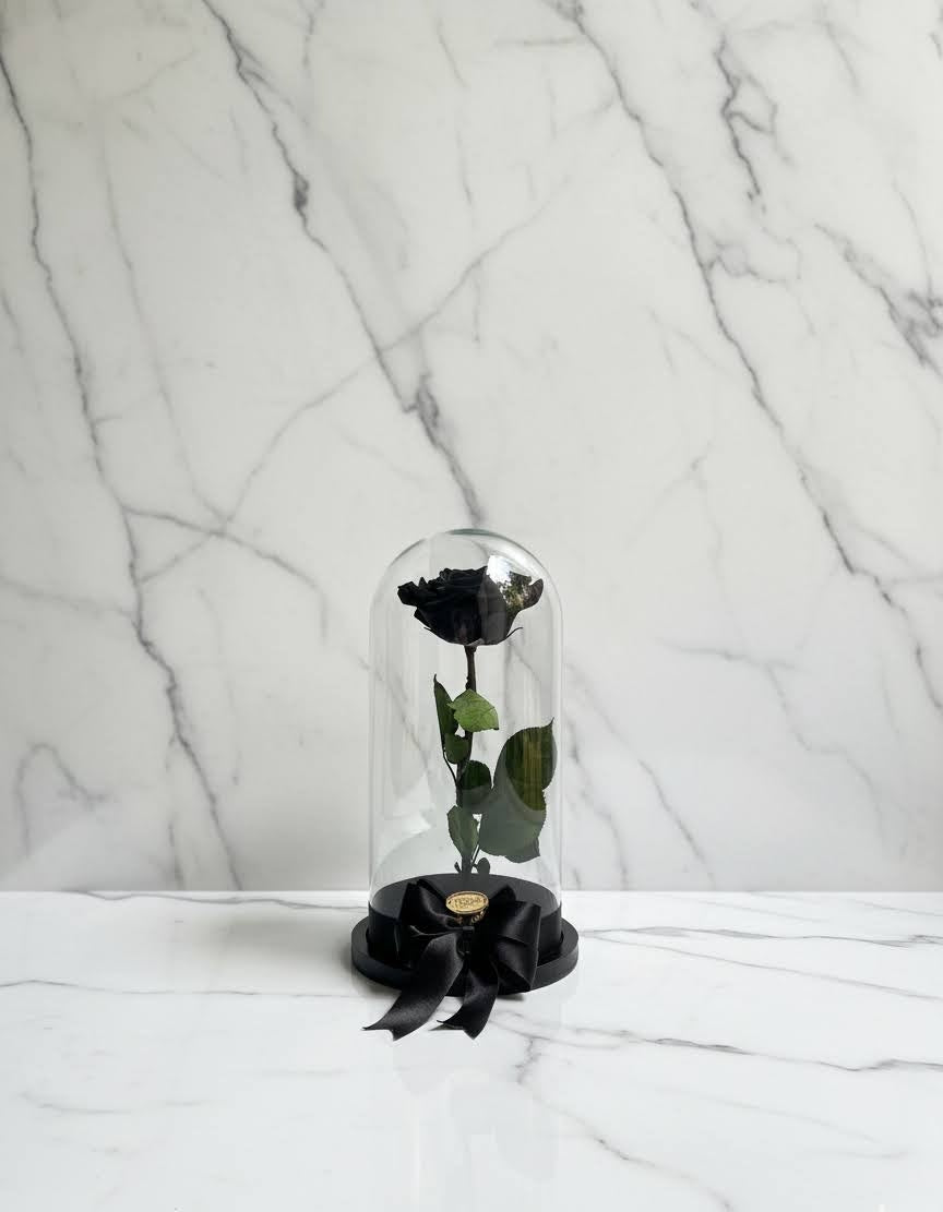 🌹✨ Rosa Preservada Tamaño Grande – Premium