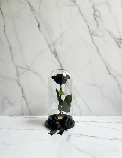 🌹✨ Rosa Tamaño Grande – Premium