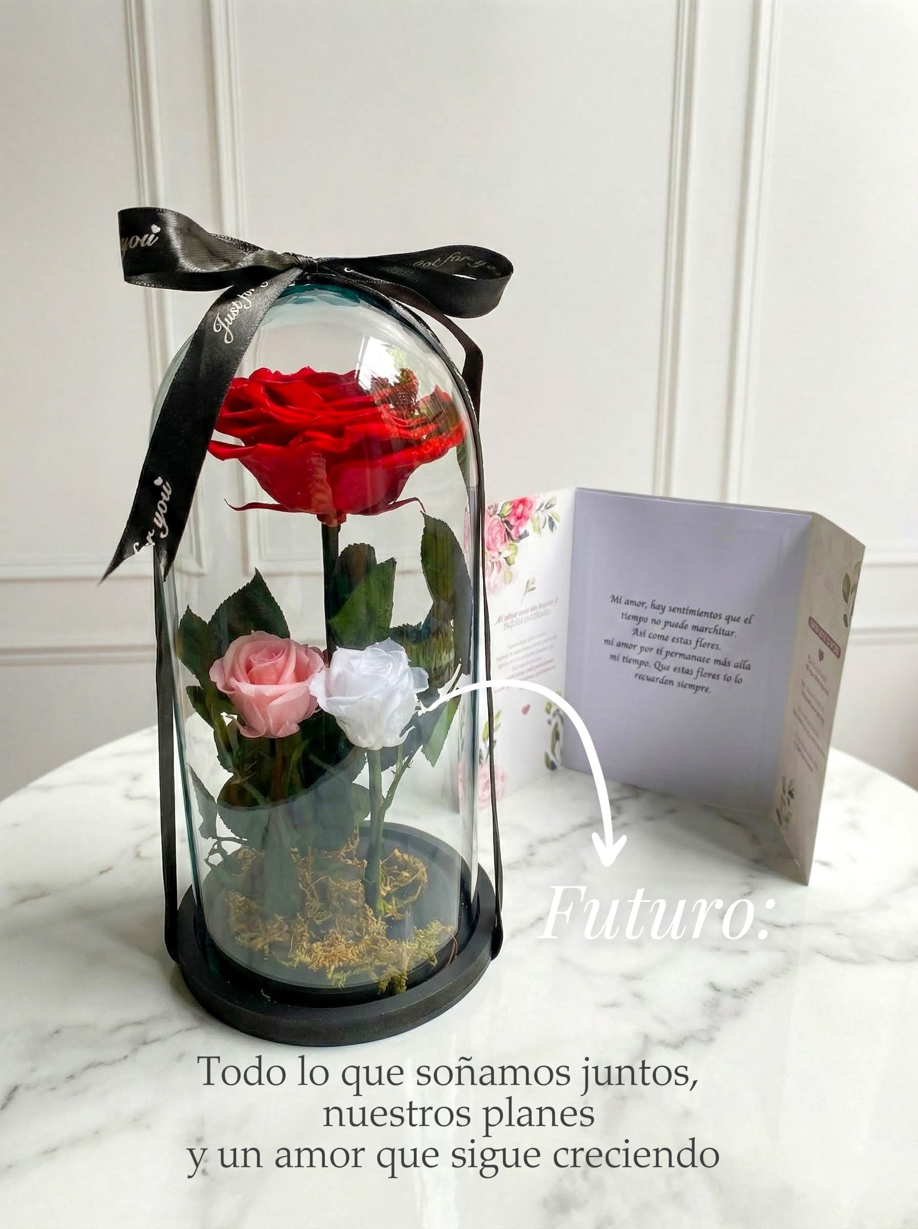 Tres tiempos🌹- Rosas preservadas
