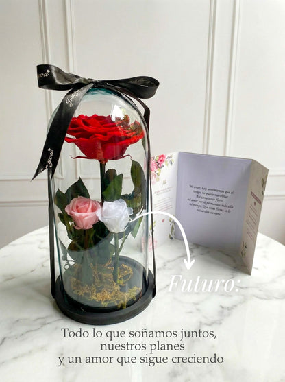 🌹Tres tiempos🌹