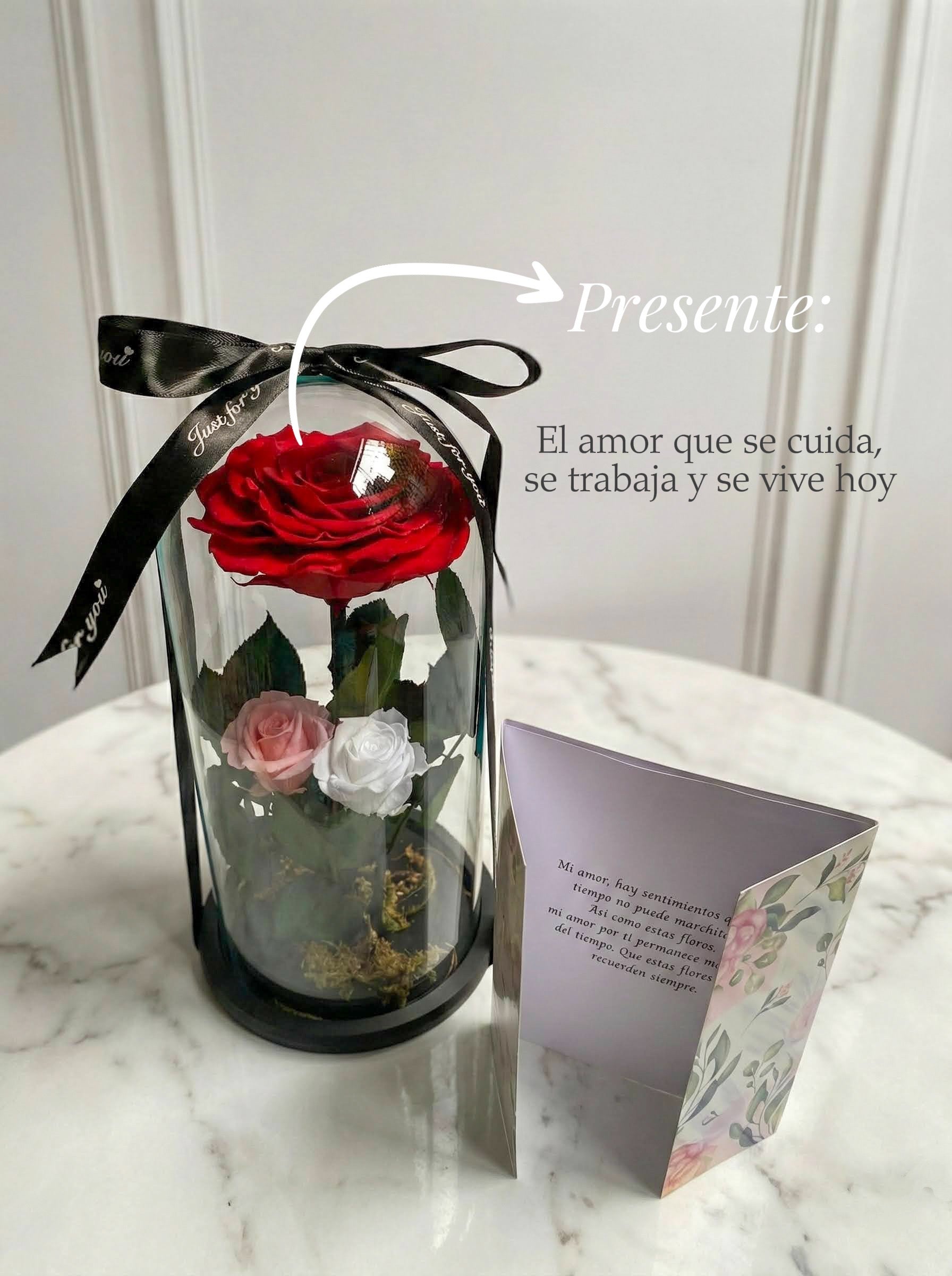 Tres tiempos🌹- Rosas preservadas