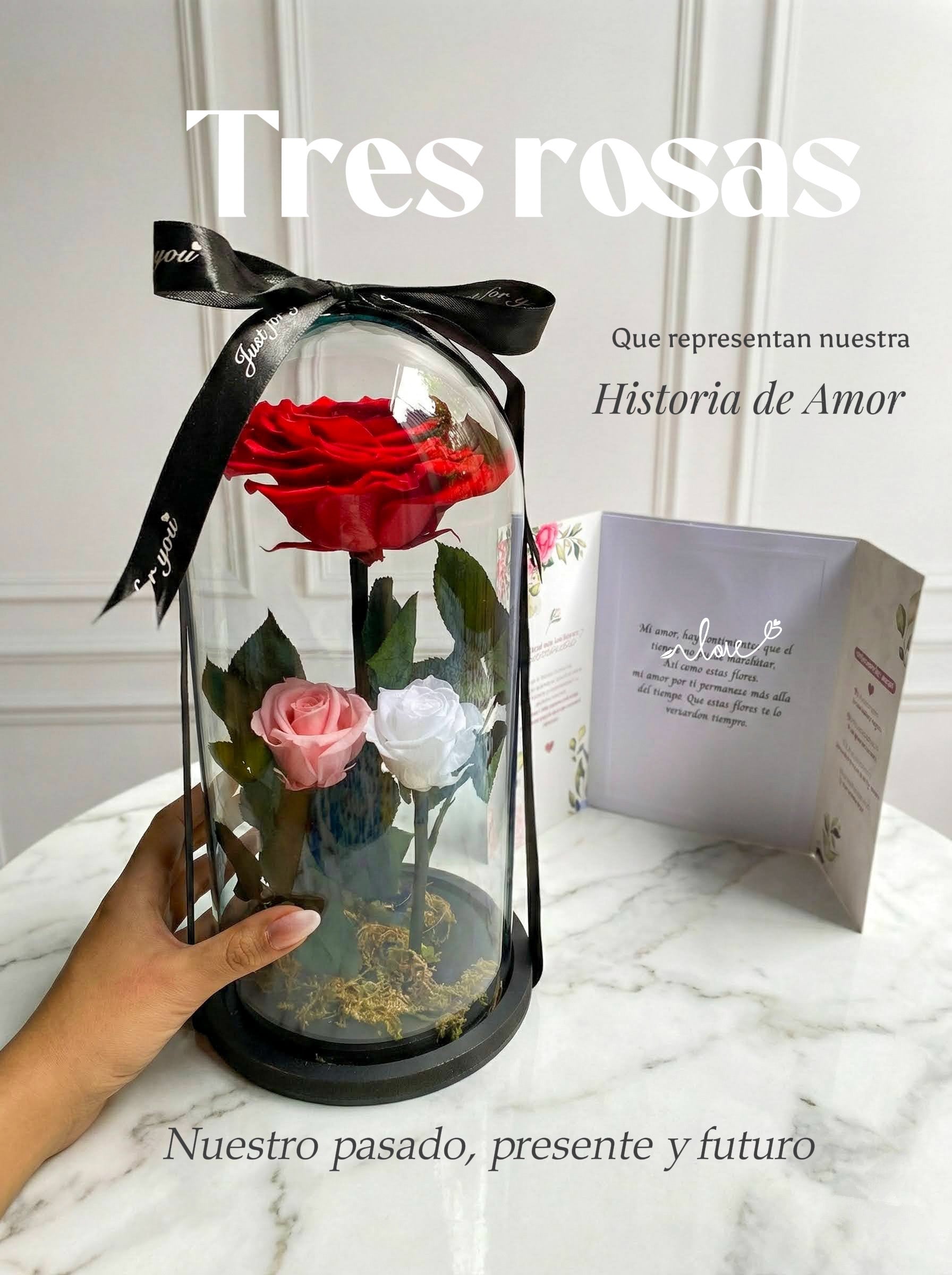 Tres tiempos🌹- Rosas preservadas