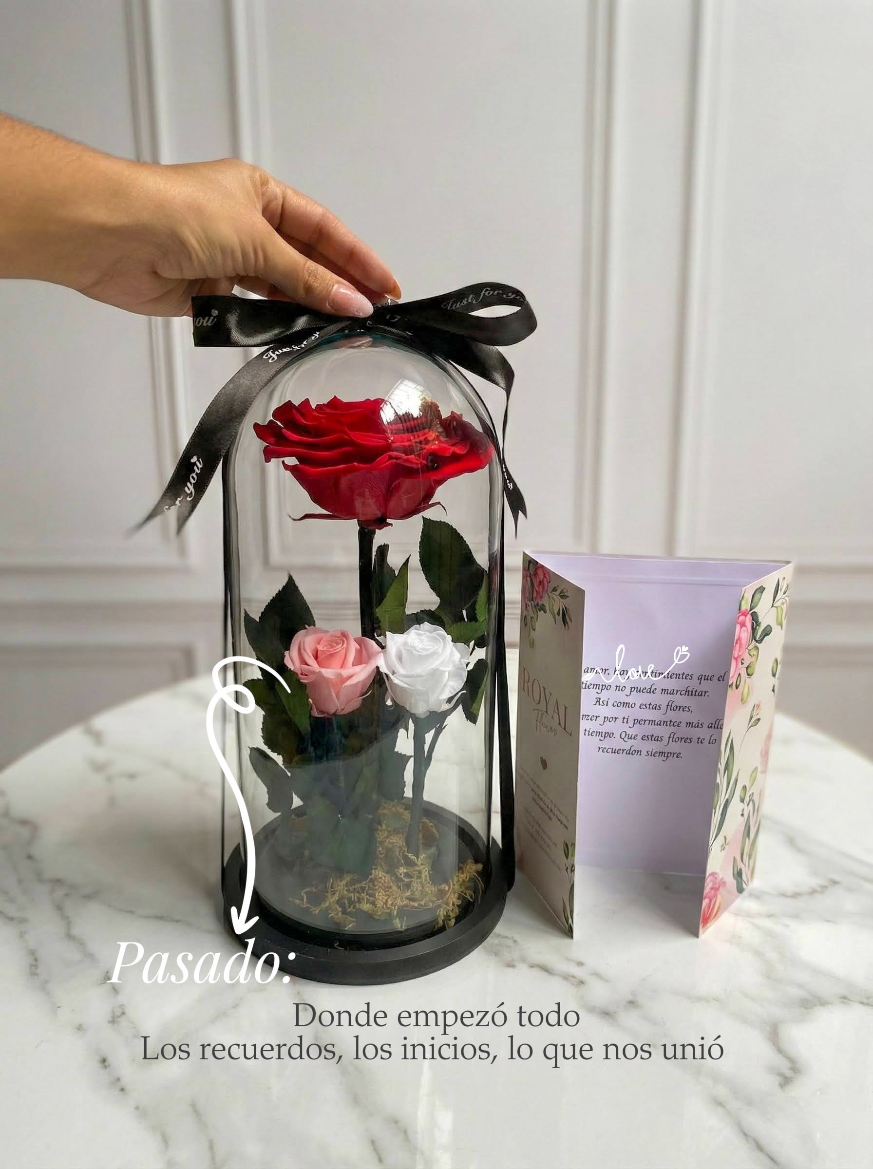 Tres tiempos🌹- Rosas preservadas