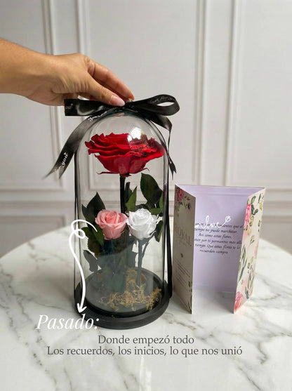 🌹Tres tiempos🌹