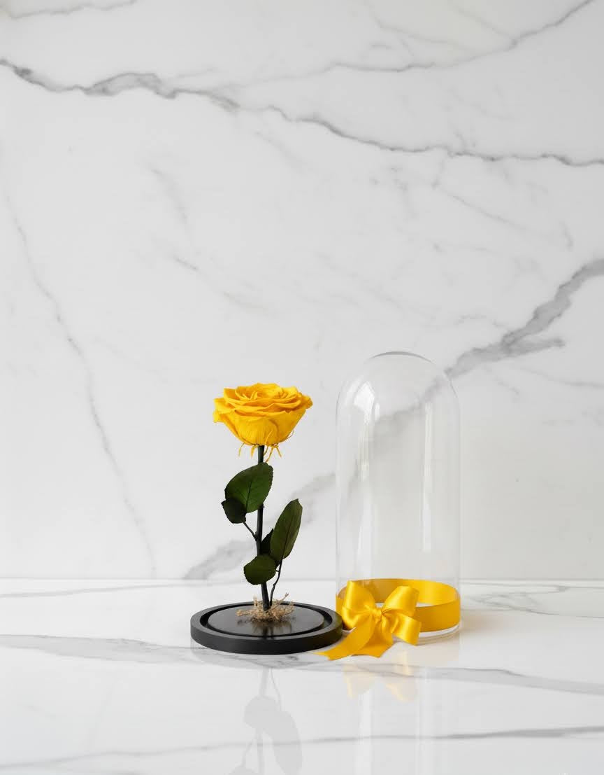 🌹✨ Rosa Preservada Tamaño Grande – Premium