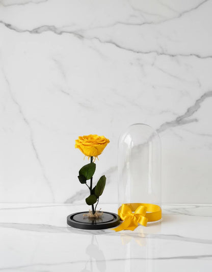 🌹✨ Rosa Tamaño Grande – Premium