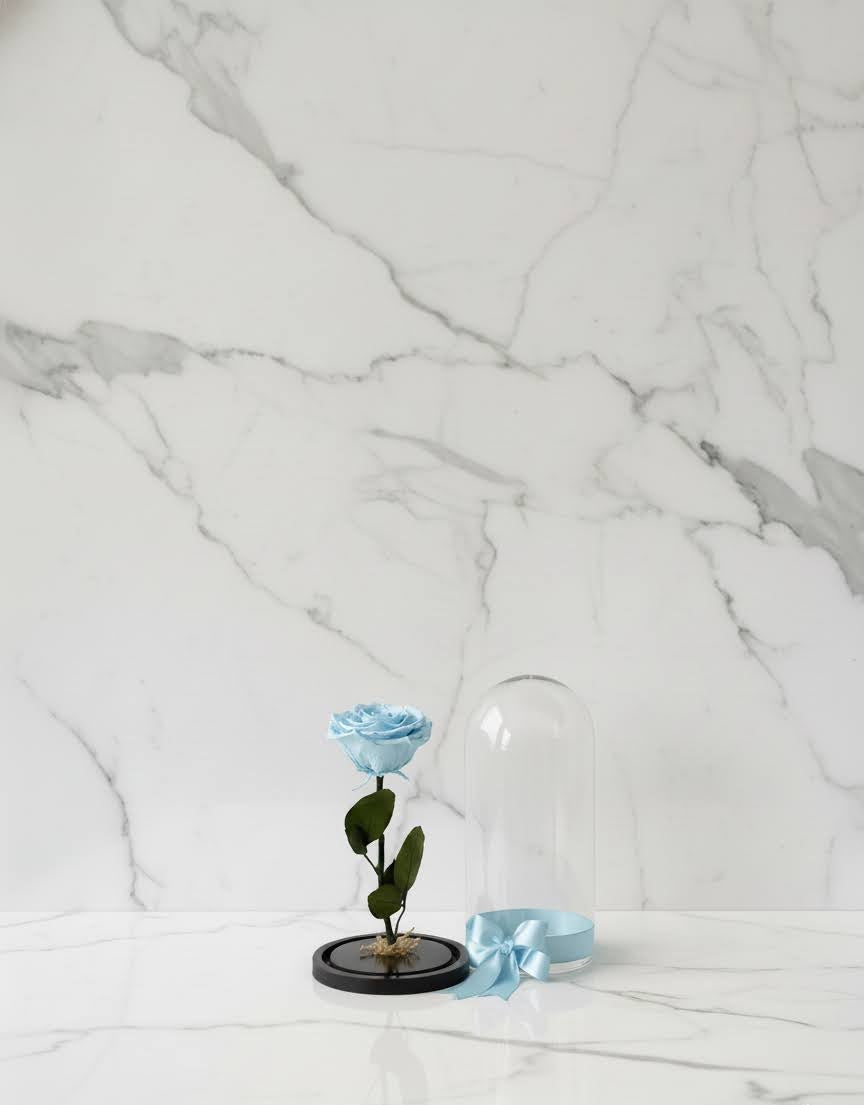 🌹✨ Rosa Preservada Tamaño Grande – Premium