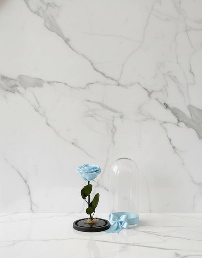 🌹✨ Rosa Tamaño Grande – Premium