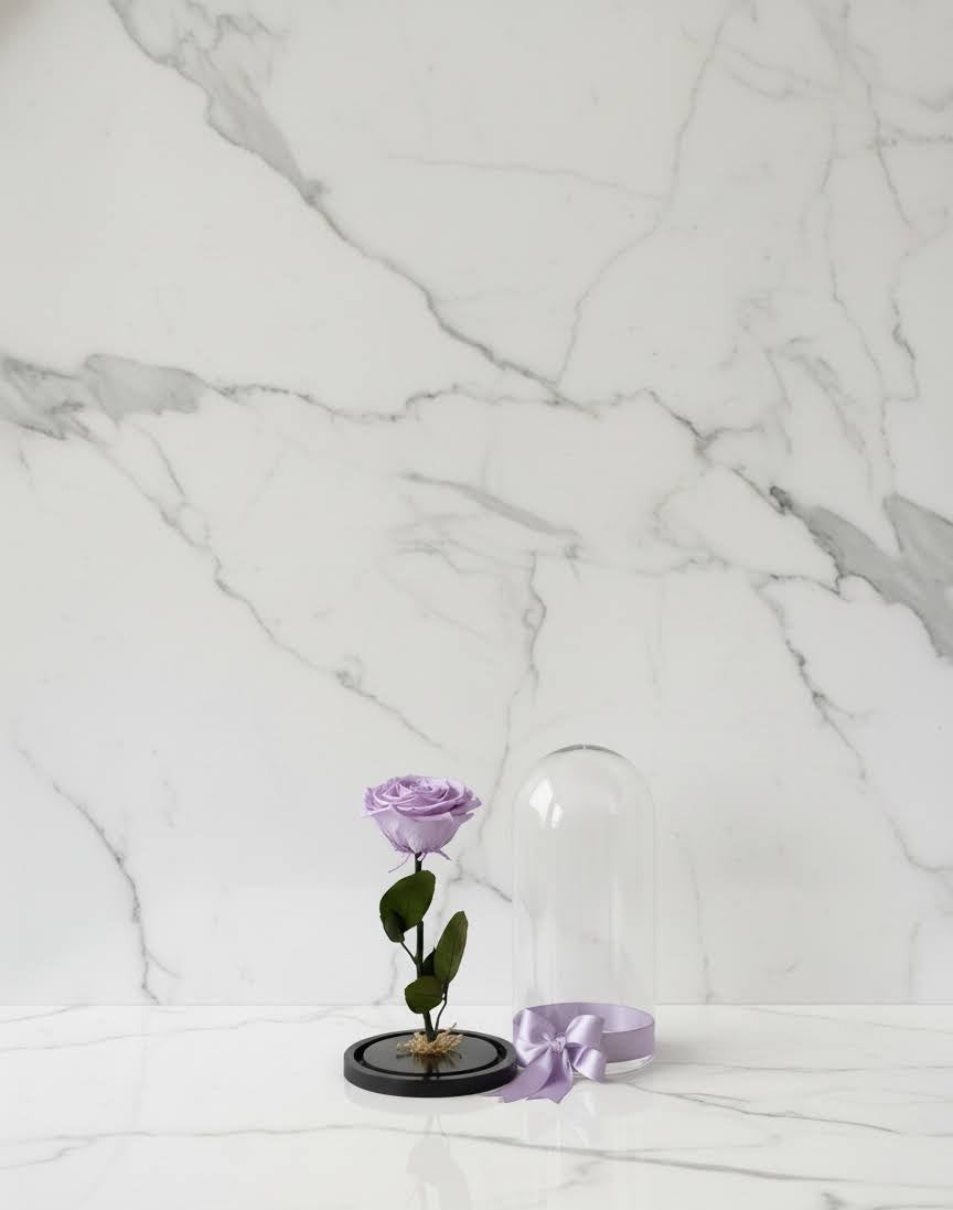 🌹✨ Rosa Preservada Tamaño Grande – Premium