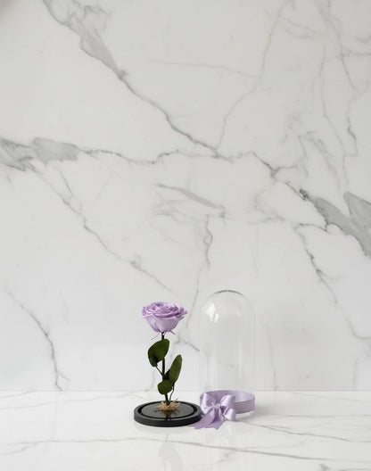 🌹✨ Rosa Tamaño Grande – Premium