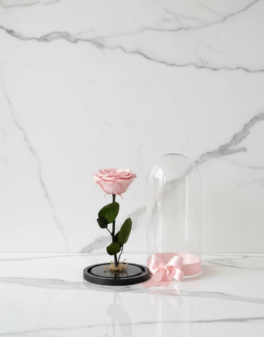 🌹✨ Rosa Preservada Tamaño Grande – Premium